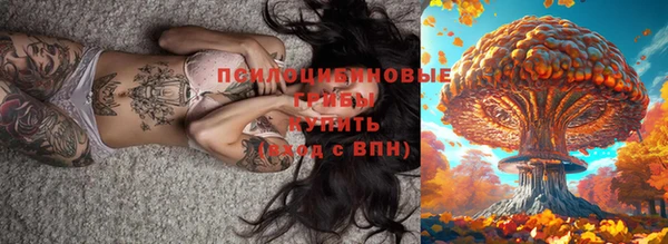 мяу мяу мука Покачи