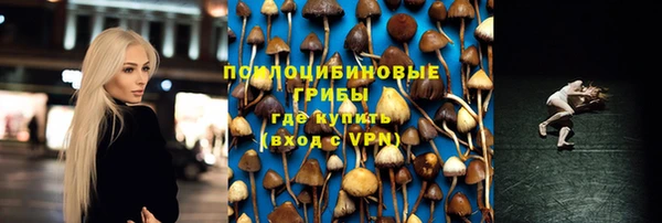 марки lsd Абаза
