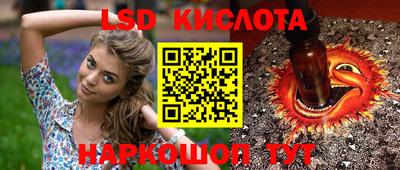 Альфа ПВП Моздок